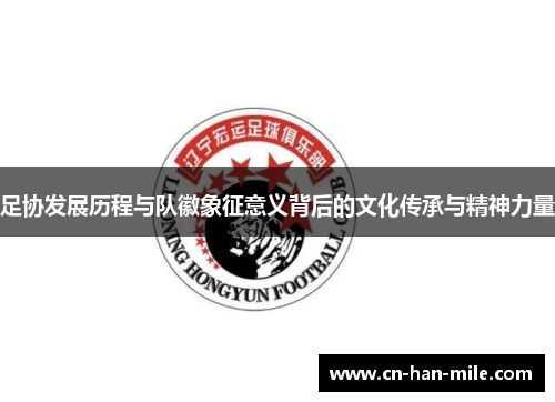 足协发展历程与队徽象征意义背后的文化传承与精神力量
