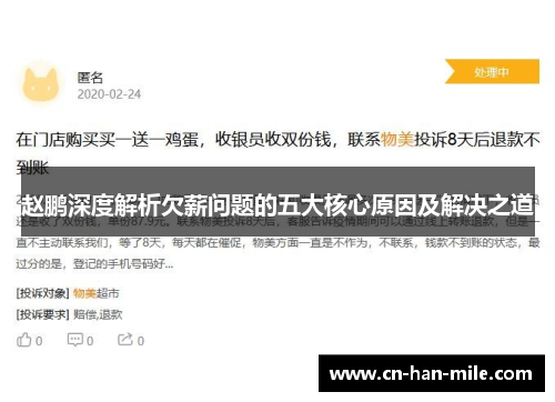 赵鹏深度解析欠薪问题的五大核心原因及解决之道