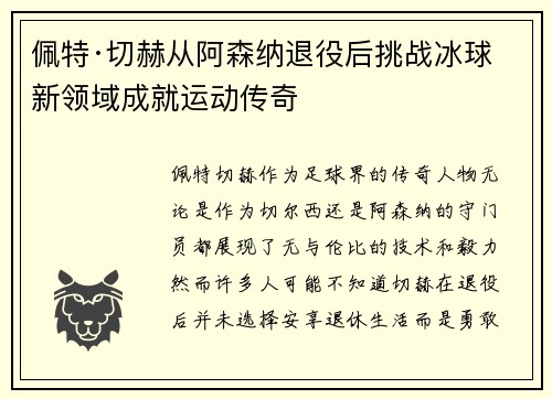 佩特·切赫从阿森纳退役后挑战冰球新领域成就运动传奇