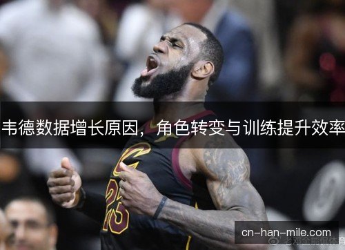 韦德数据增长原因,角色转变与训练提升效率 韦德数据增长原因,角色转变与训练提升效率